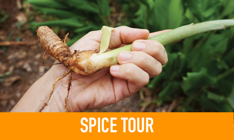 Spice Tours