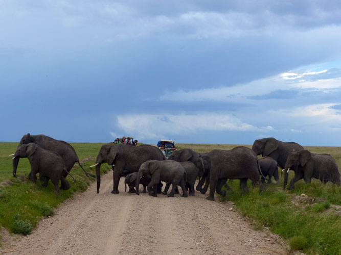 3 Day 2 Nights Last Minute Fly in Luxury Safar to Ngorongoro Crater